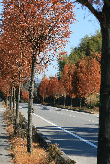 f0181173_20565379.jpg
