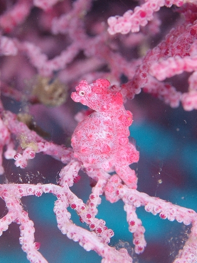 c0169674_12304042.jpg