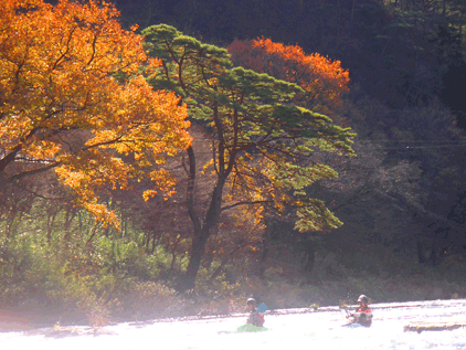 f0161874_0114283.gif