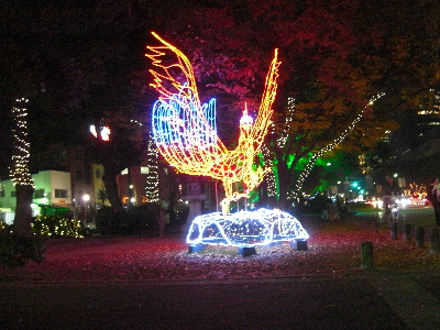 d0116578_18155257.jpg