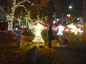 d0116578_18164180.jpg