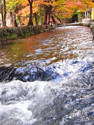 f0089079_0555944.jpg