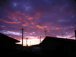 d0129083_084566.jpg