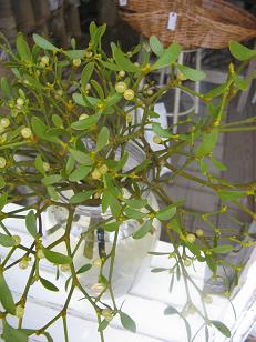 c0178588_20175535.jpg