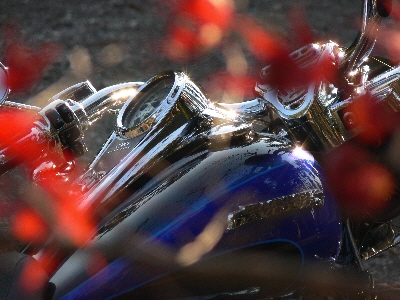 f0103688_00738.jpg