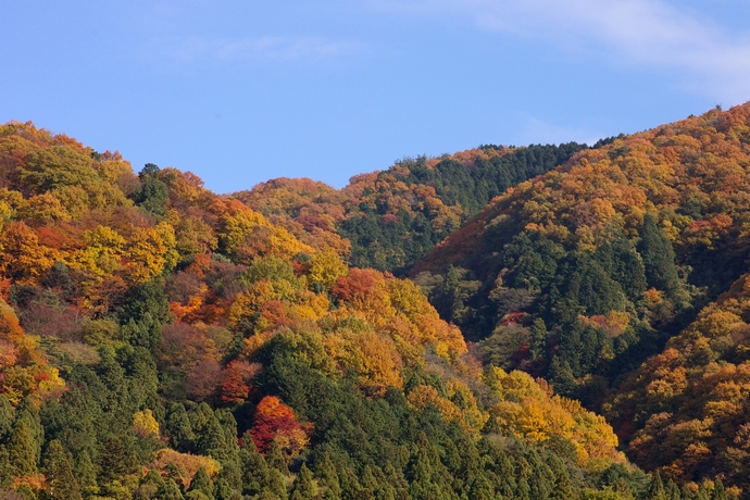 b0080789_085438.jpg