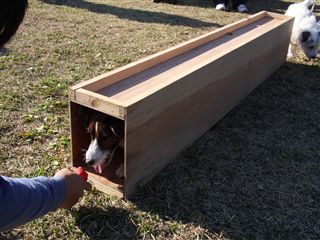 e0121589_0185979.jpg