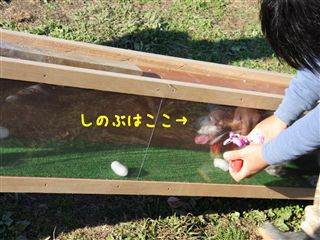 e0121589_0231538.jpg