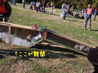 e0121589_03263.jpg