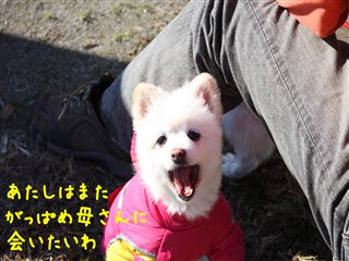 e0121589_0411052.jpg