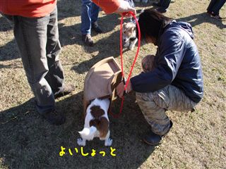 e0121589_093040.jpg