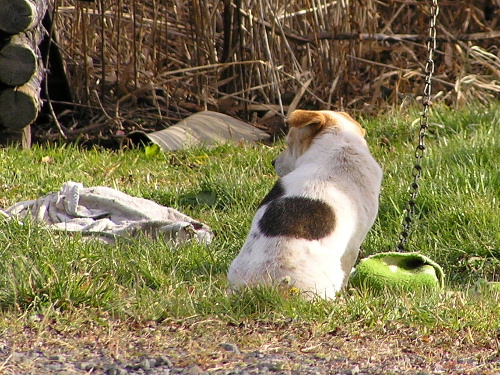 a0067991_8435361.jpg