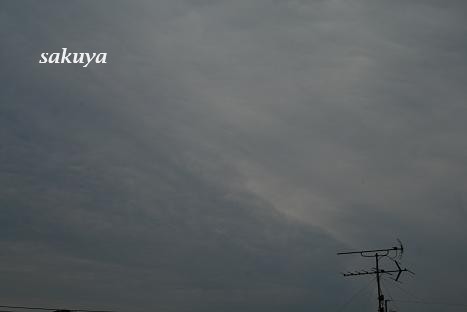 e0122194_20252626.jpg
