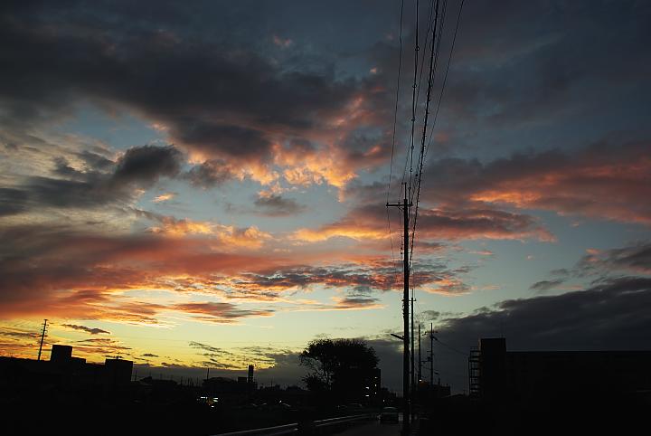 d0069495_2350348.jpg