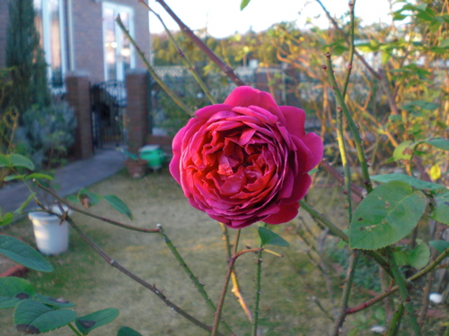 e0163202_1937335.jpg