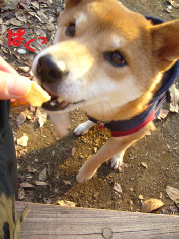 e0131506_022392.jpg