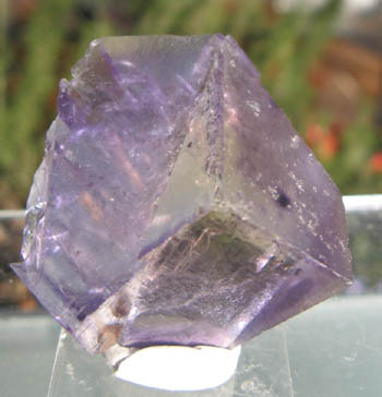 e0139012_2123922.jpg