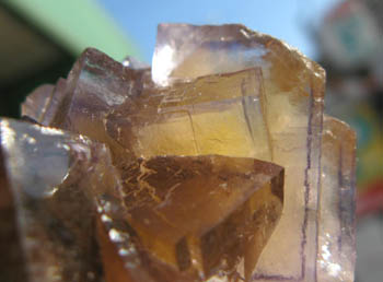 e0139012_21261830.jpg