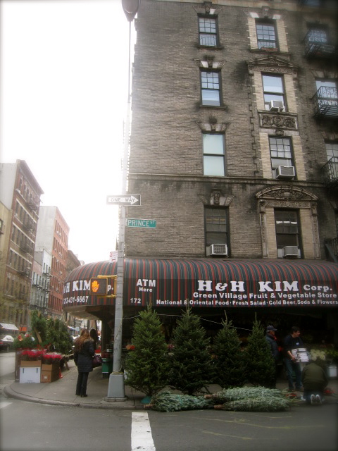 c0120817_10262671.jpg