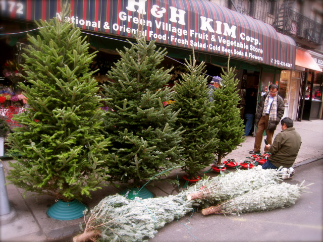 c0120817_10271018.jpg