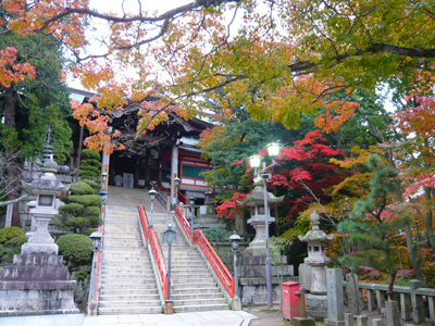 b0019820_1753957.jpg