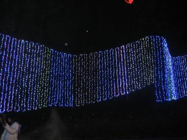 a0105023_23162336.jpg