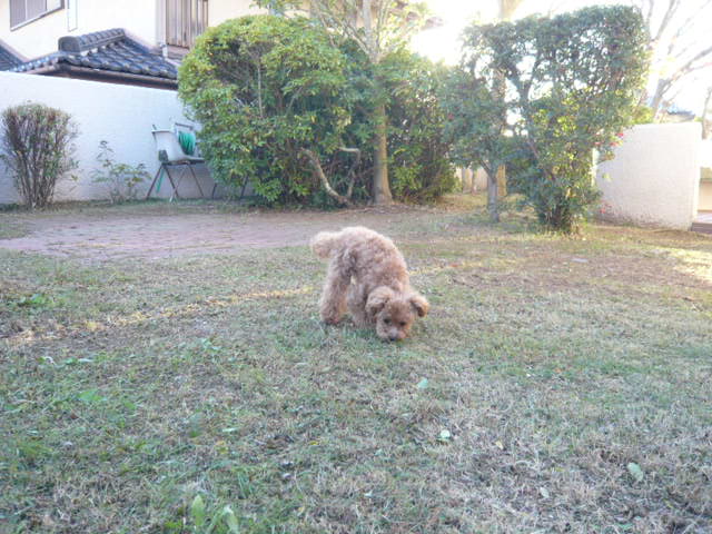 b0146123_20112858.jpg