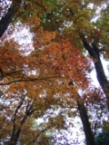b0144328_15111811.jpg