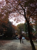 b0144328_15113493.jpg