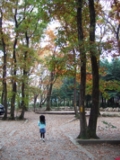 b0144328_15204697.jpg