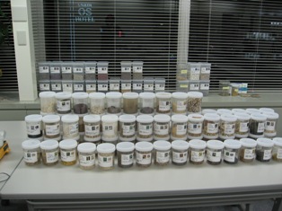 c0161034_12474720.jpg