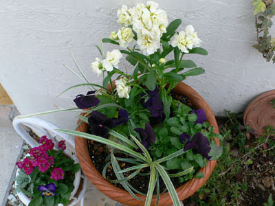 f0061334_213626100.jpg