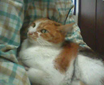 c0136736_10521275.jpg