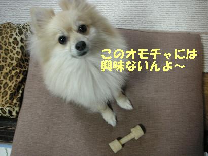 c0179136_0313010.jpg