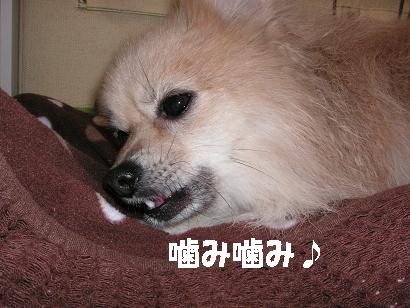c0179136_031459.jpg