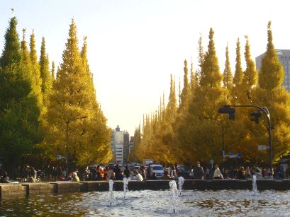 d0093936_161184.jpg