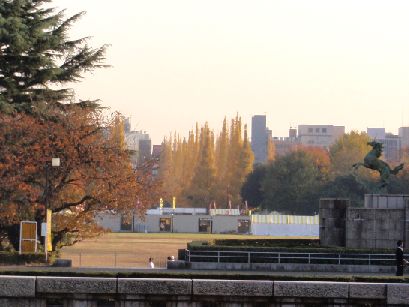 d0093936_16191544.jpg