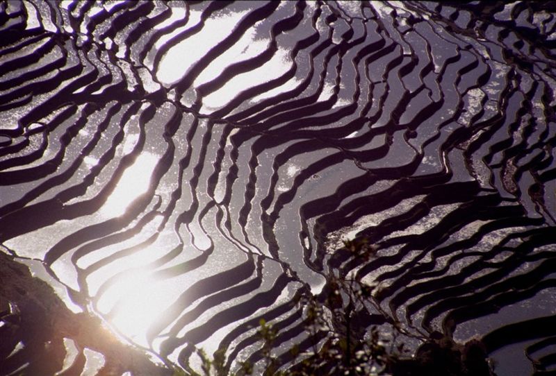 c0179844_14394525.jpg