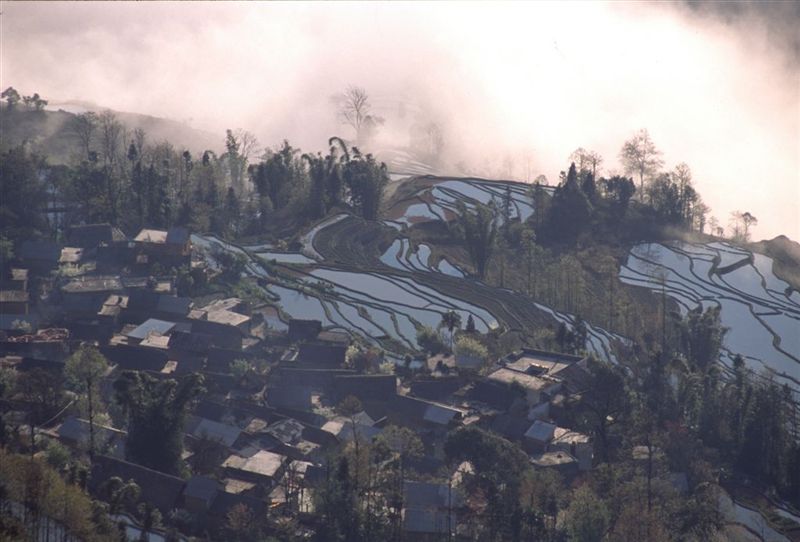 c0179844_16442284.jpg