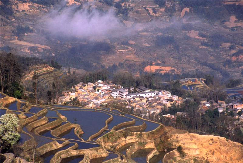 c0179844_1645362.jpg