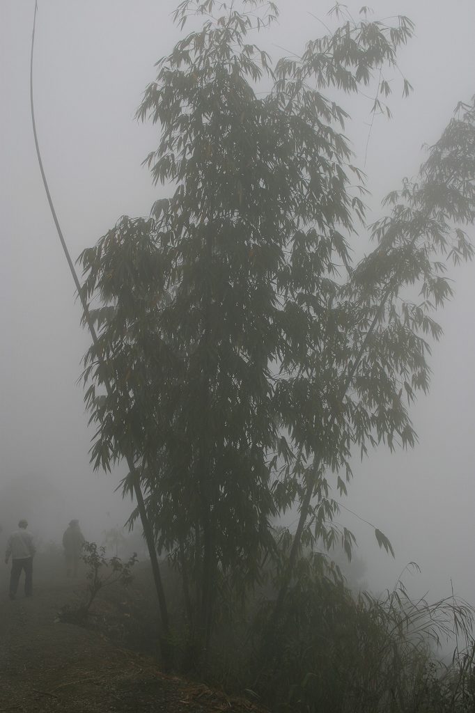 c0179844_16521730.jpg