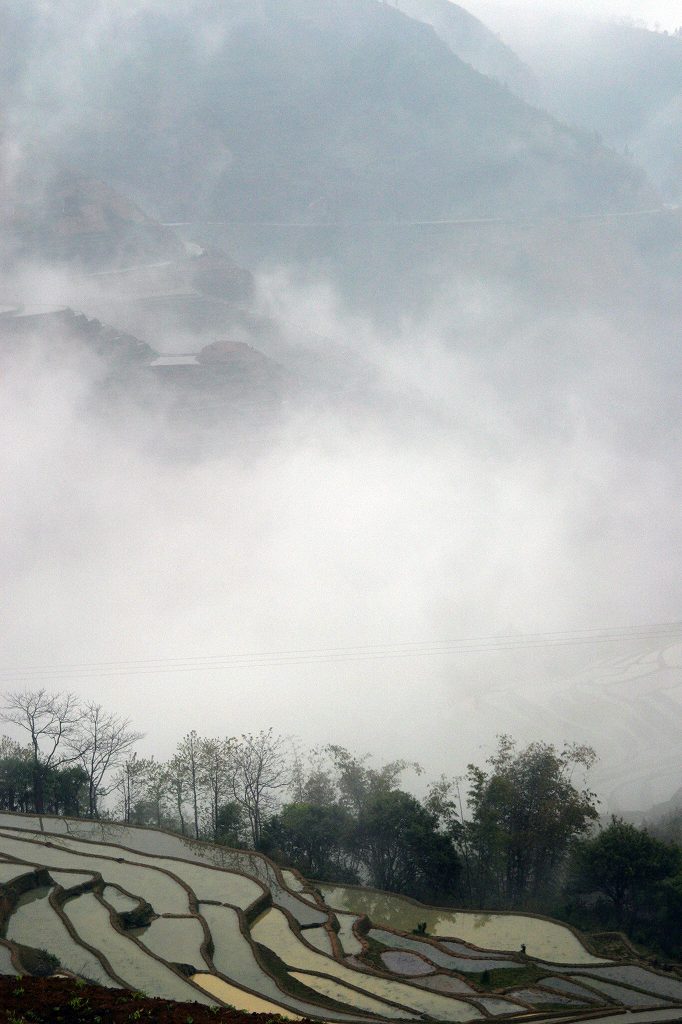 c0179844_16524765.jpg