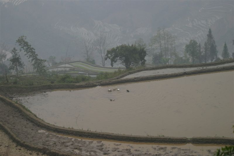 c0179844_16534224.jpg