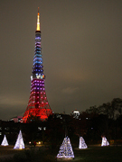 e0165162_172675.jpg