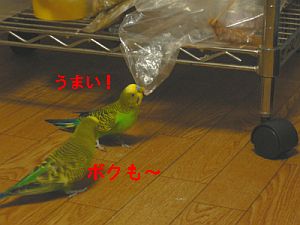 f0196665_2332172.jpg
