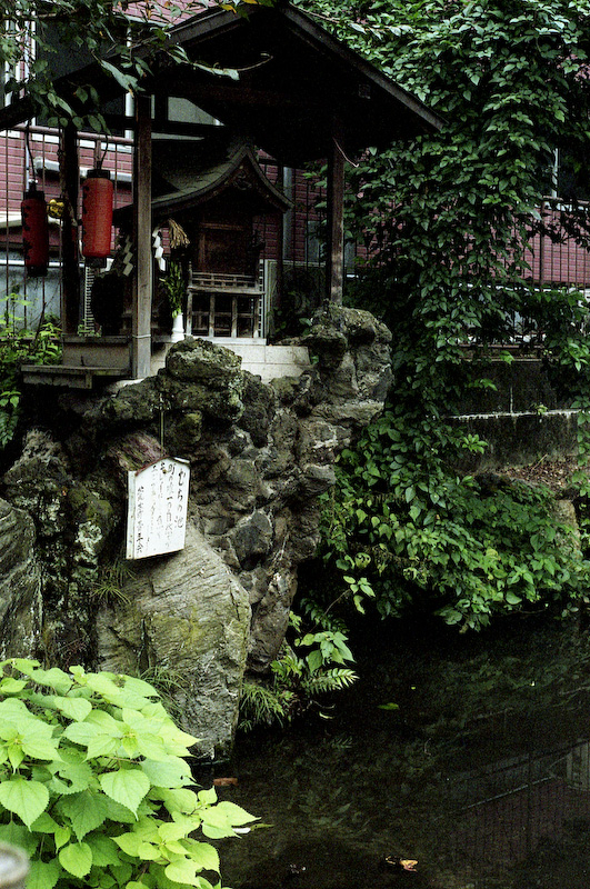 c0084666_6575313.jpg