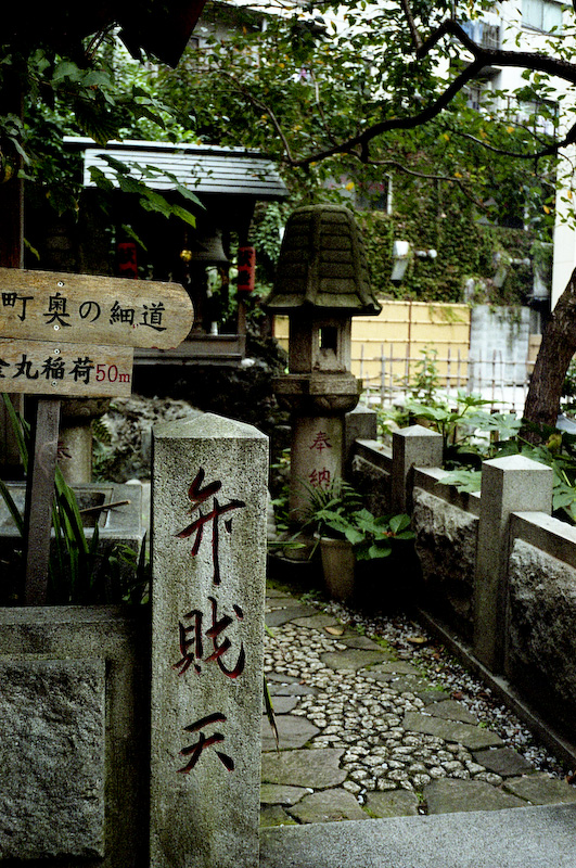 c0084666_658752.jpg