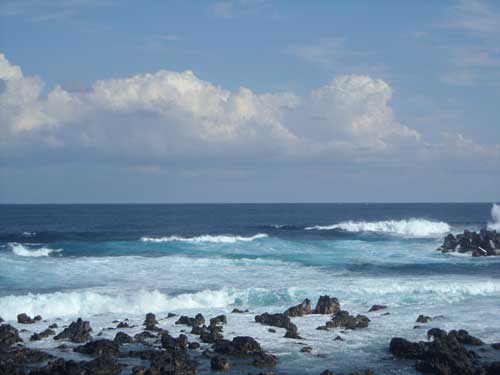e0097770_2272640.jpg