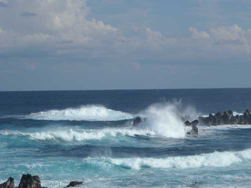 e0097770_2274334.jpg
