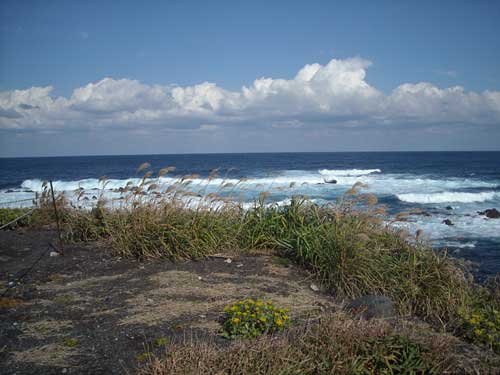 e0097770_2285932.jpg